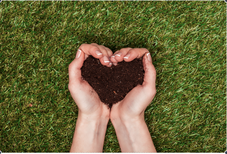 Eco-Friendly Products and Practices
